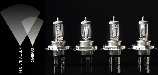 Halogen Bulb